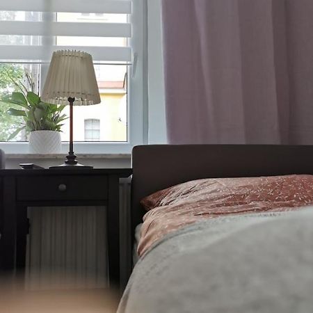 דוז'ניקי ז'דרוז' Apartament Pod Bukiem מראה חיצוני תמונה