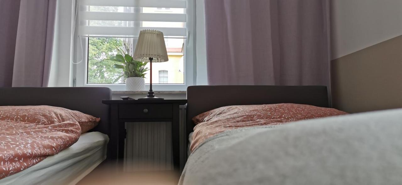דוז'ניקי ז'דרוז' Apartament Pod Bukiem מראה חיצוני תמונה