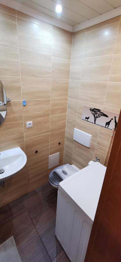 דוז'ניקי ז'דרוז' Apartament Pod Bukiem מראה חיצוני תמונה