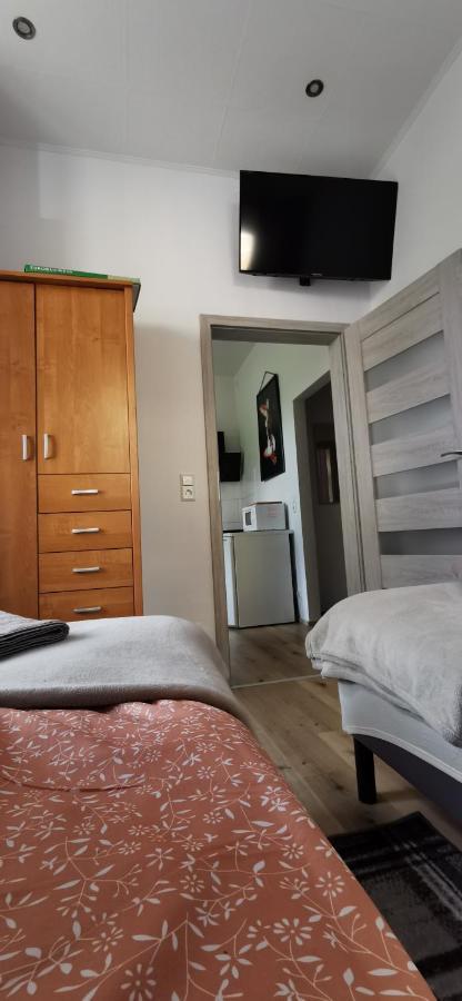 דוז'ניקי ז'דרוז' Apartament Pod Bukiem מראה חיצוני תמונה